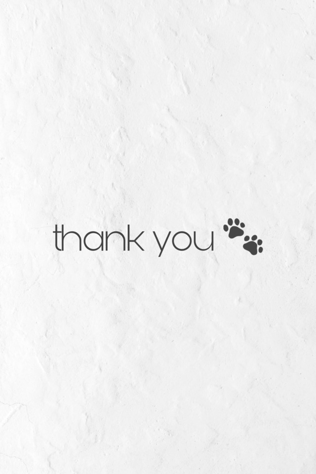 【 M様 専用ページ 】