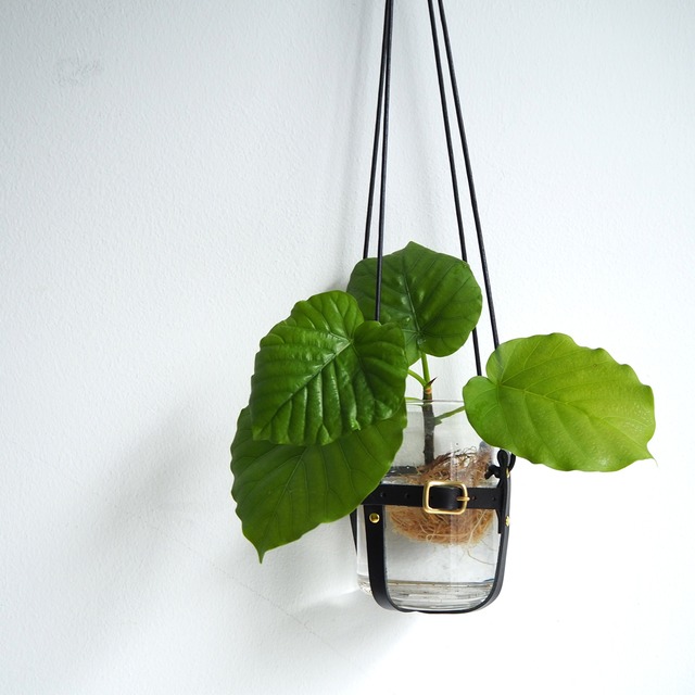 Plant hanger (oil leather black) Adjustable pot installation size ♪ Leather hanging