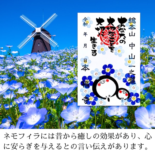 《数量限定》お地蔵さんと開運をもたらす花ネモフィラ《ネモフィラシリーズ》