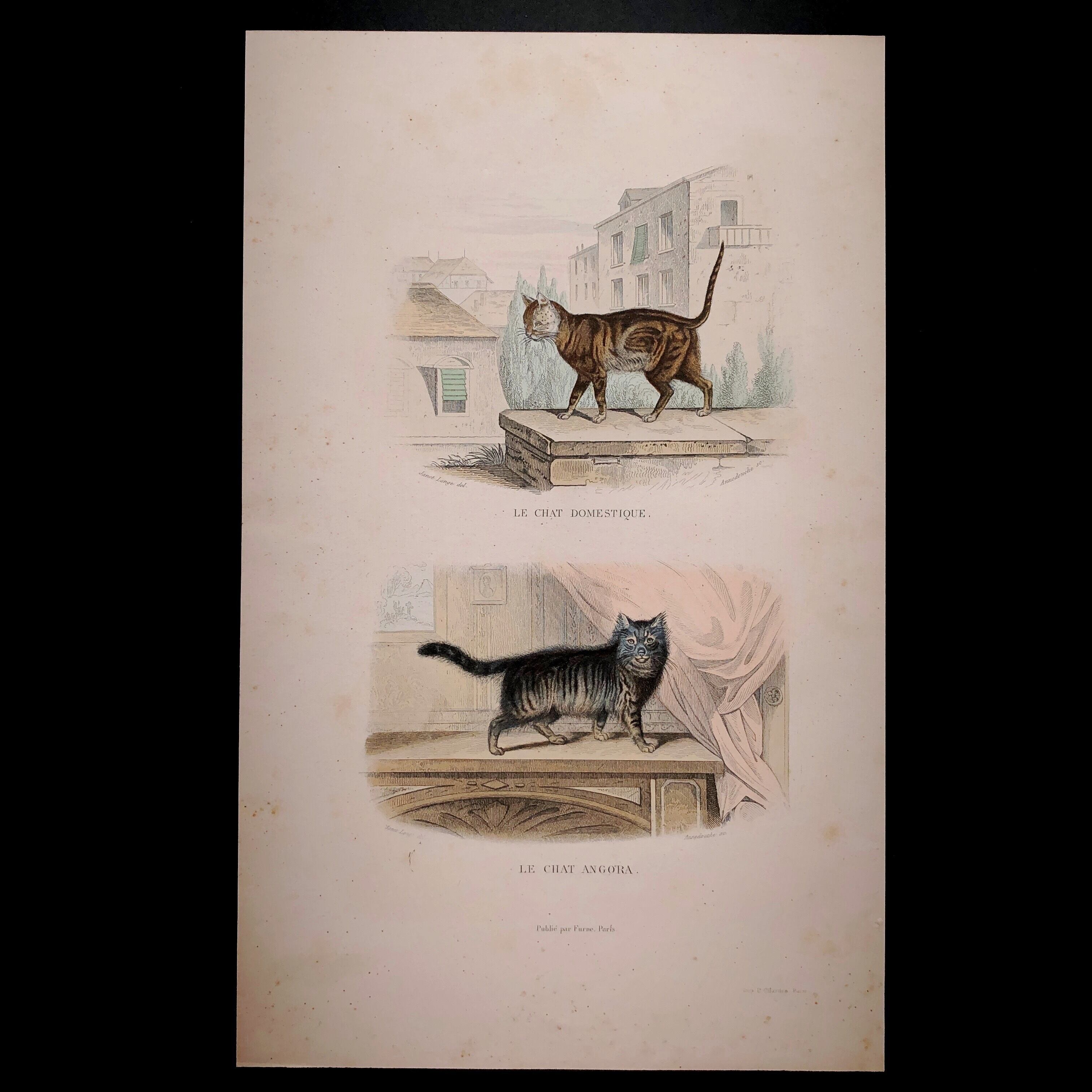 最終値下げ 藤城清治 春のデュエット 四季のメルヘン 猫 小人 版画