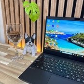 \ 公式ショップ限定価格❣️/ 最高峰《ハイスペック》NEC LAVIE Direct Core i7第10世代 SSD512GB メモリ8GB ノートパソコン 安心サポート&3ヶ月保証付き