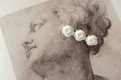 フランス  三人の白薔薇とブローチ アンティーク
