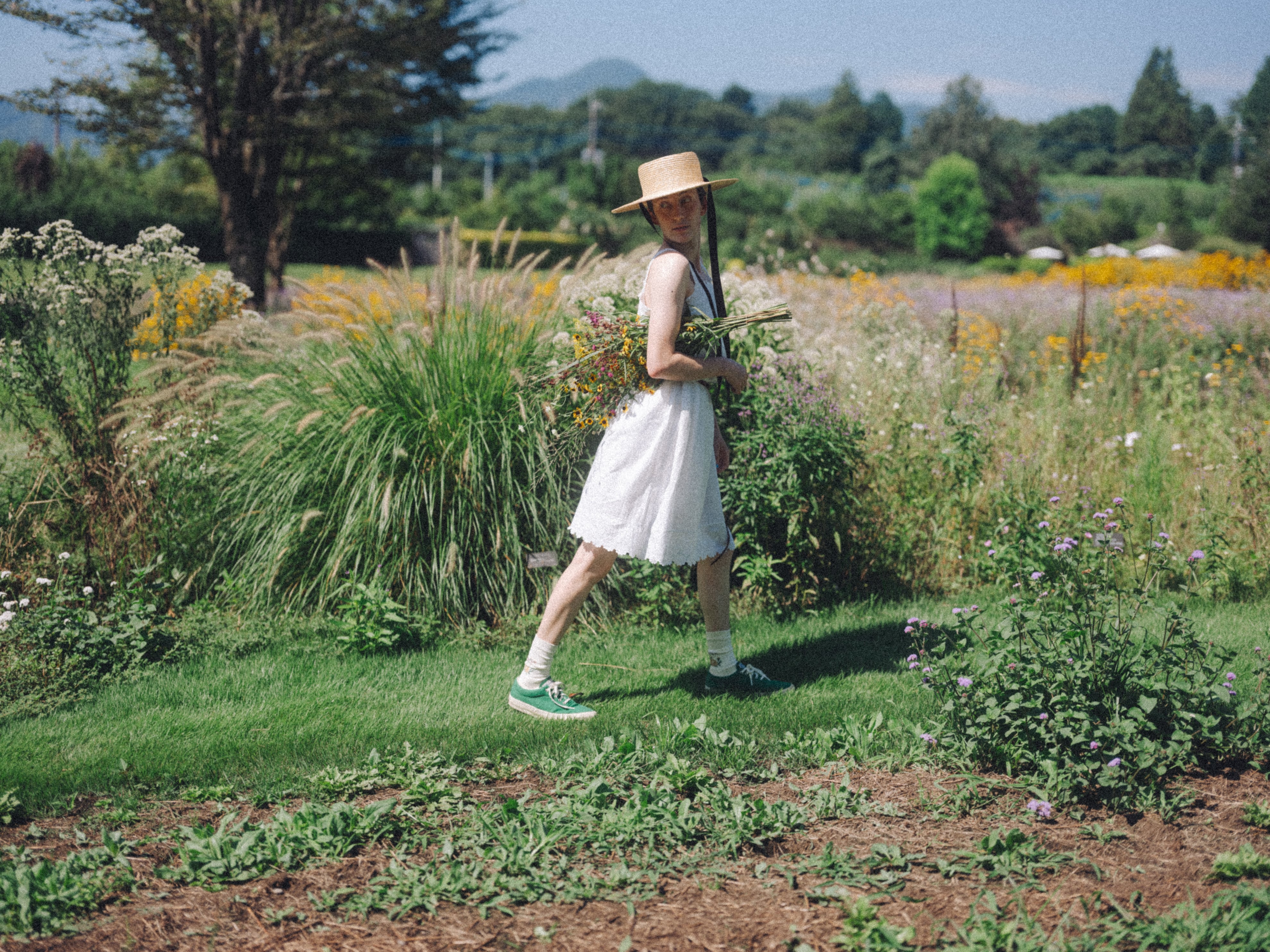 高山植物図鑑 col. off white | l a c e f l o w e r s o c k s