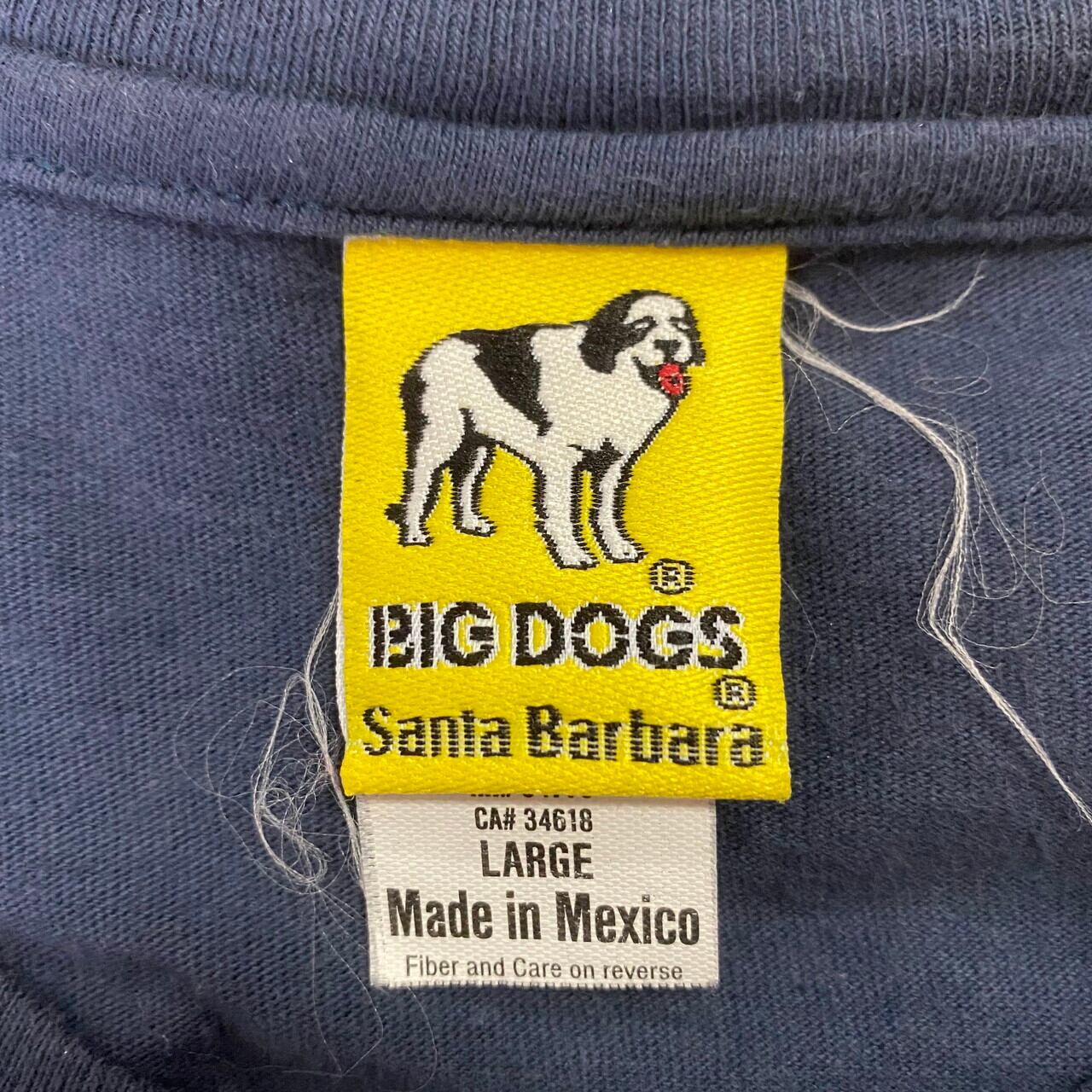 ★90s BIG DOGS ヘンリーネック Tシャツ 犬 アニマル 刺繍 緑