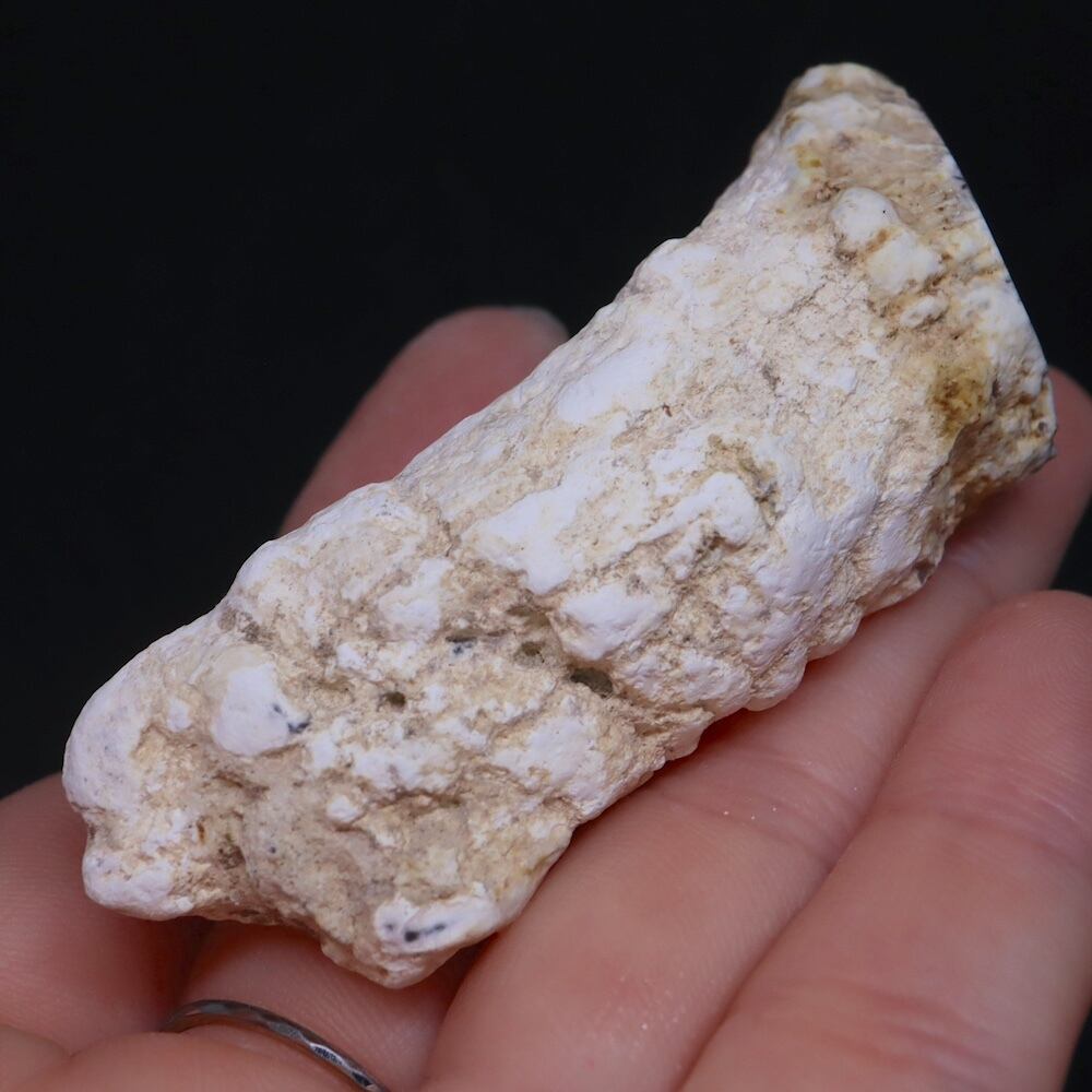 リムキャスト 珪化木 ピンクカルセドニー 499g LM011 天然石 原石