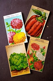 20s フランス 4set 膨満な花々と野菜たち 種子袋用ラベルk アンティーク