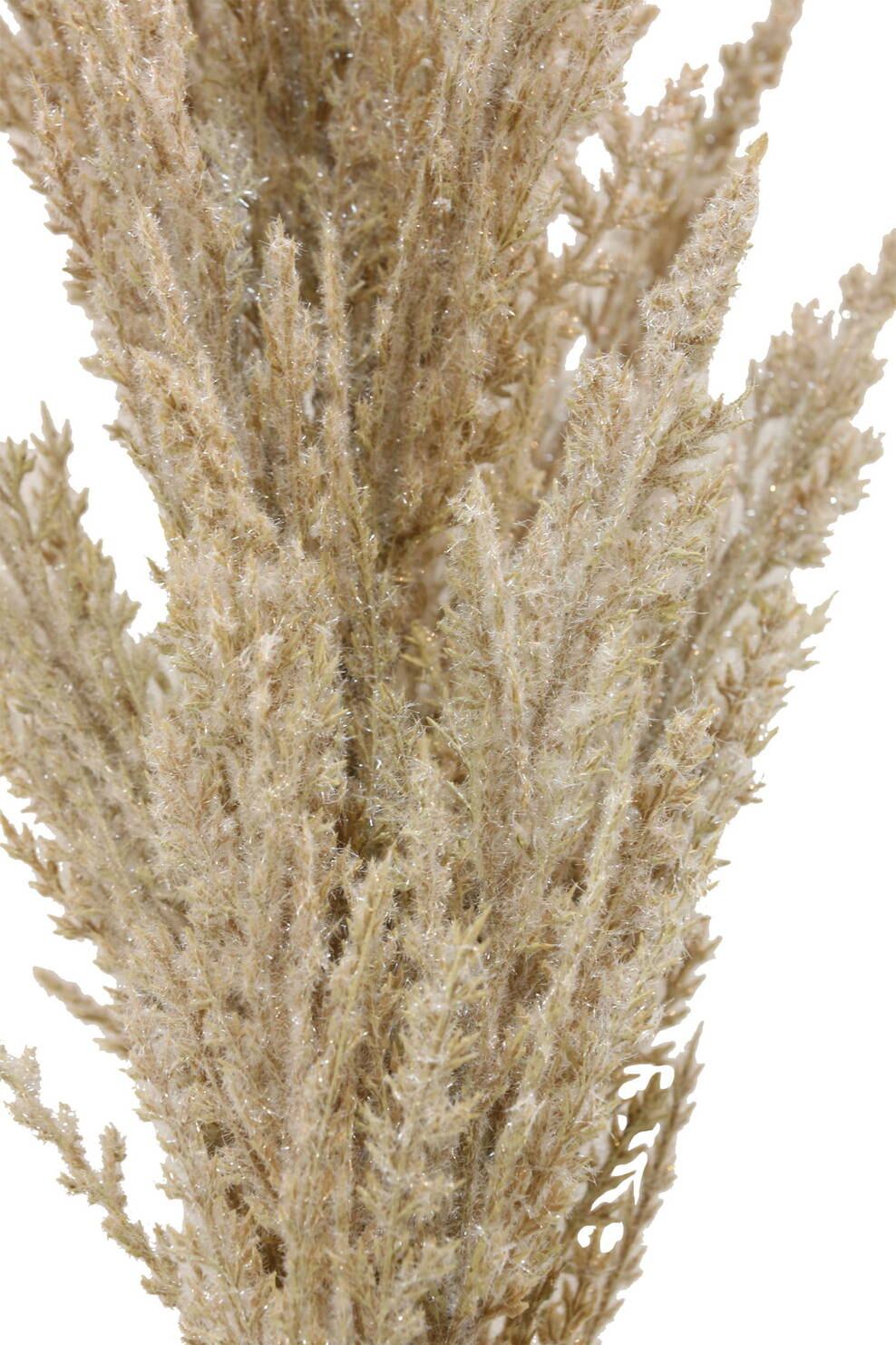 パンパスグラスＬ　　FG-5124BE　4961823755132　造花（アーティフィシャルフラワー） > 定番造花グリーン（素材）