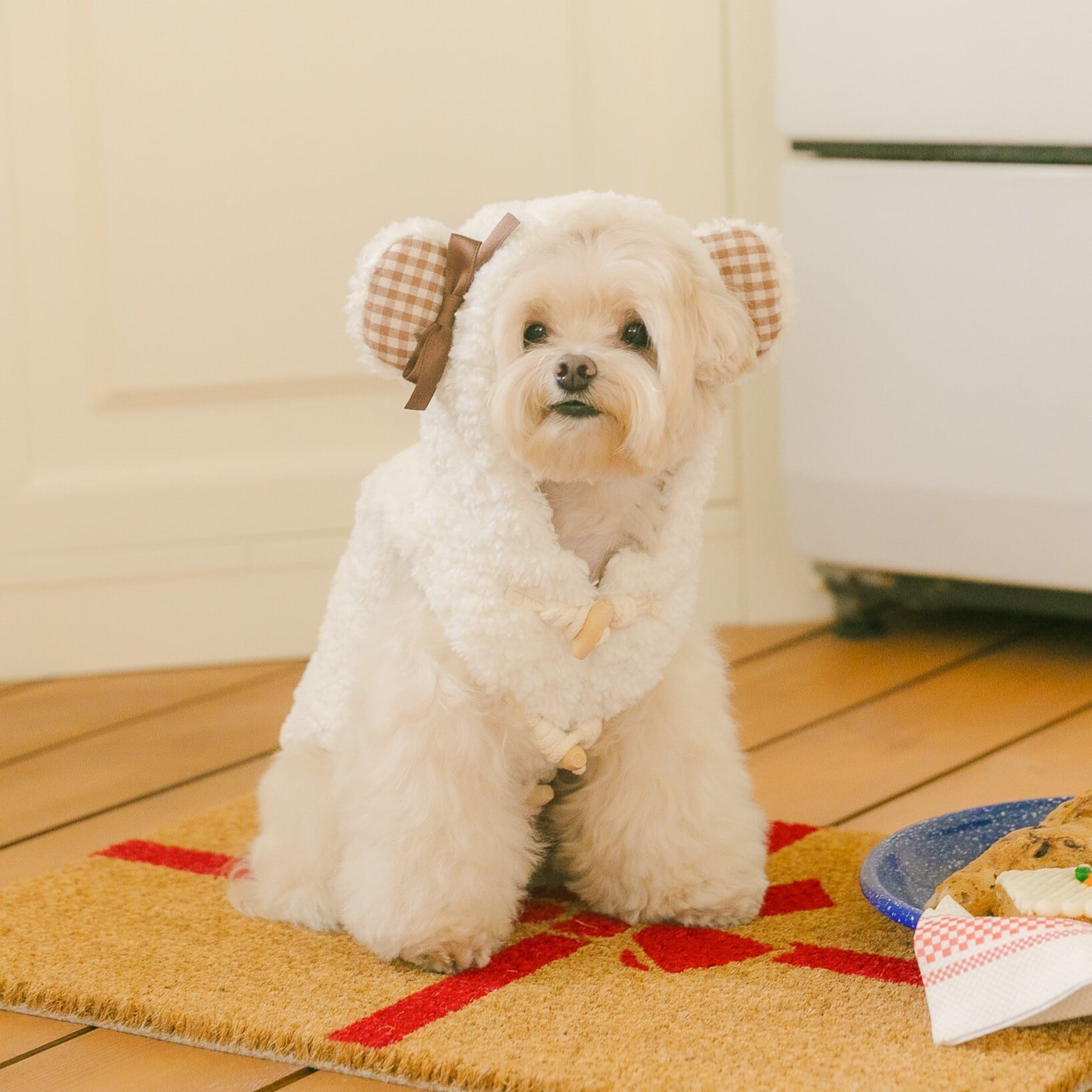 □ Vest | LUANA DOG