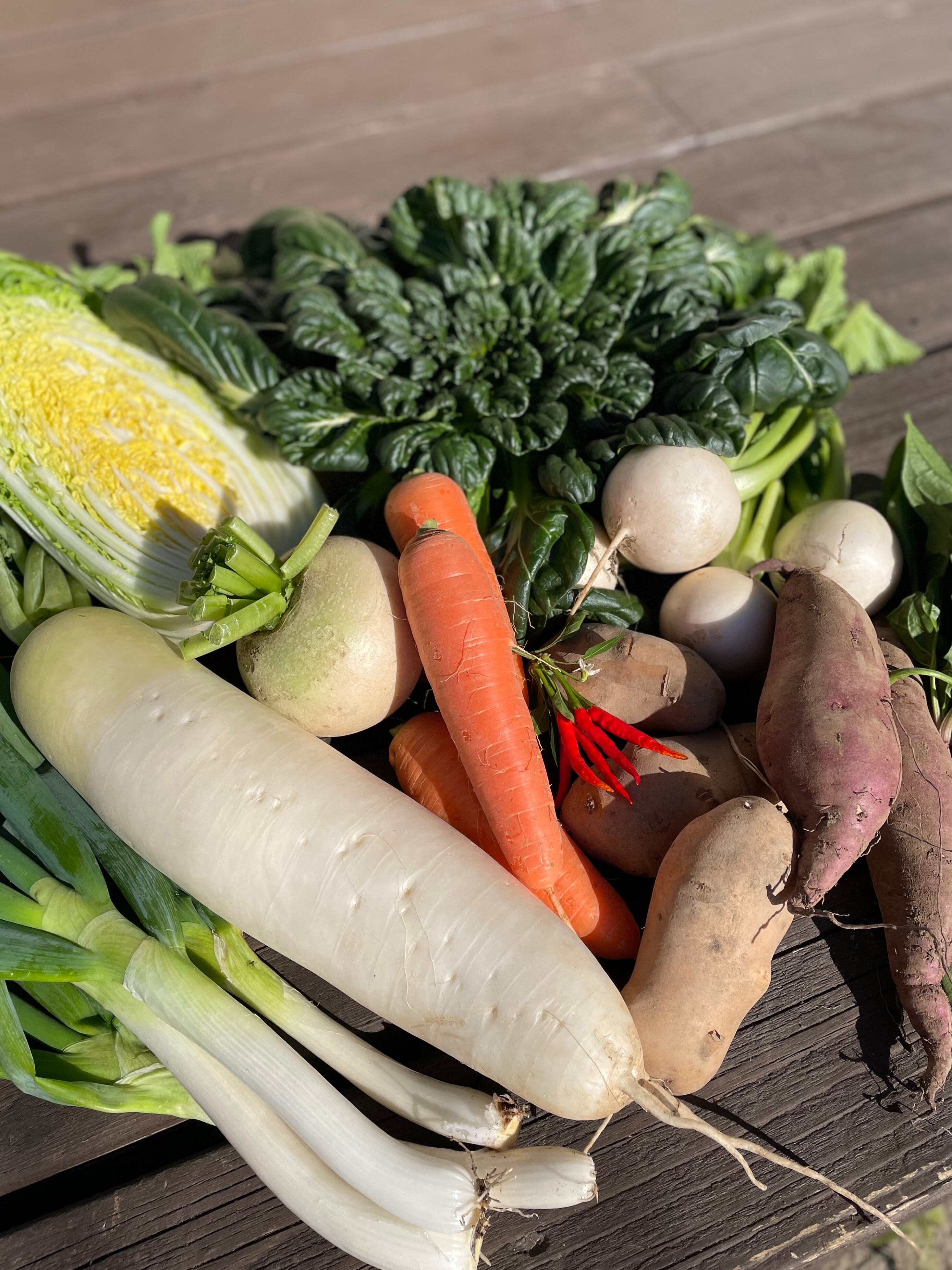 野菜セット(M)】栽培期間中化学農薬・化学肥料不使用 | 八ヶ岳やさい