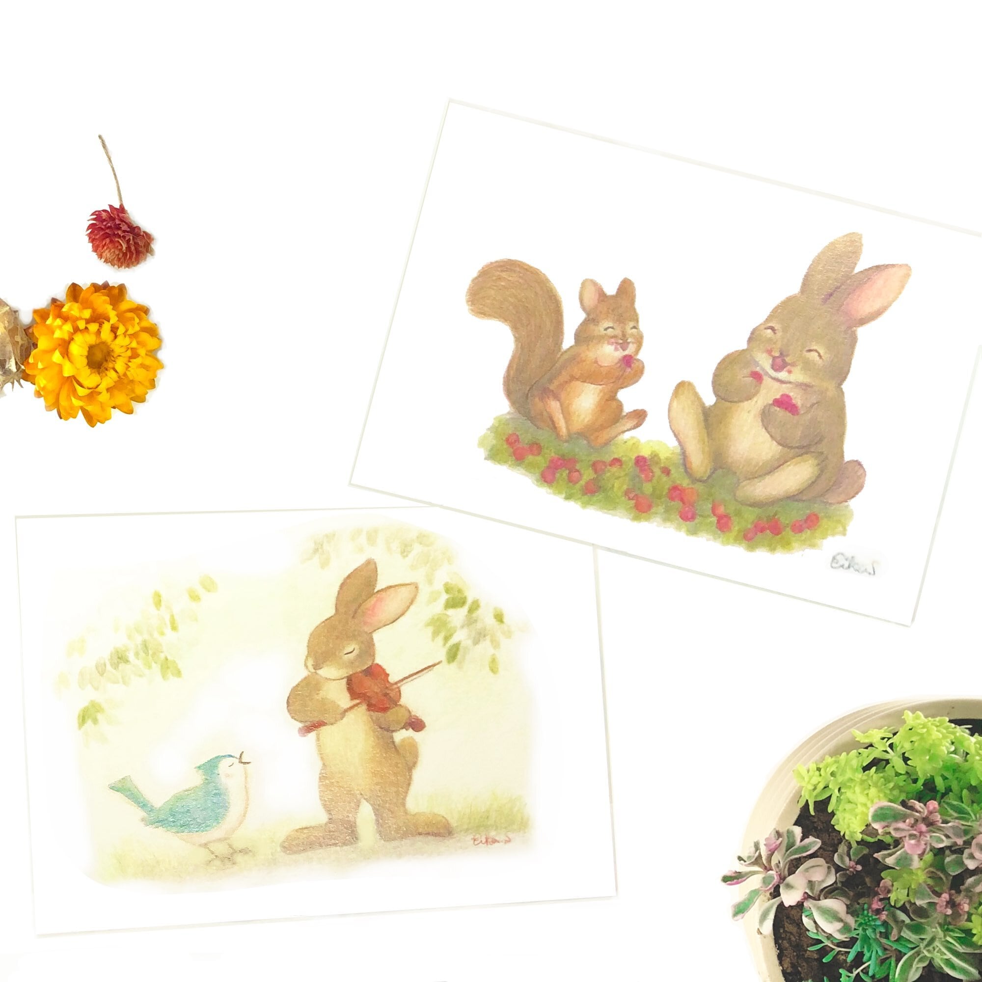 ポストカードセット「うさぎ」 | 絵本作家 すぎうらえいか