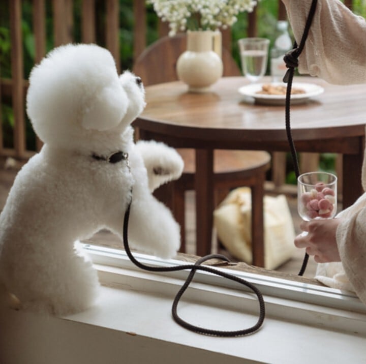 即納【stroll】Leather Collar (Black)