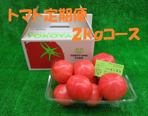 ファーストトマト２ｋｇ入定期便