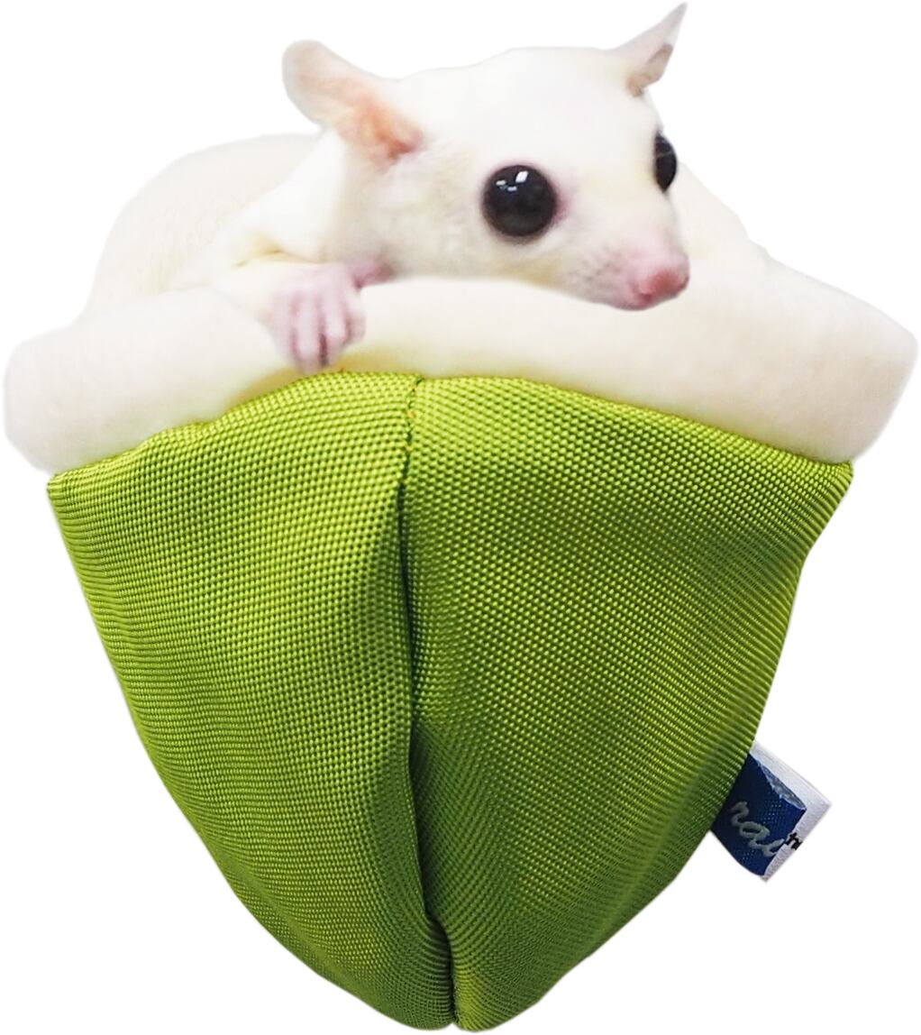 【小動物用品】寝ごこちコクーン　ブルー/グリーン/イエロー