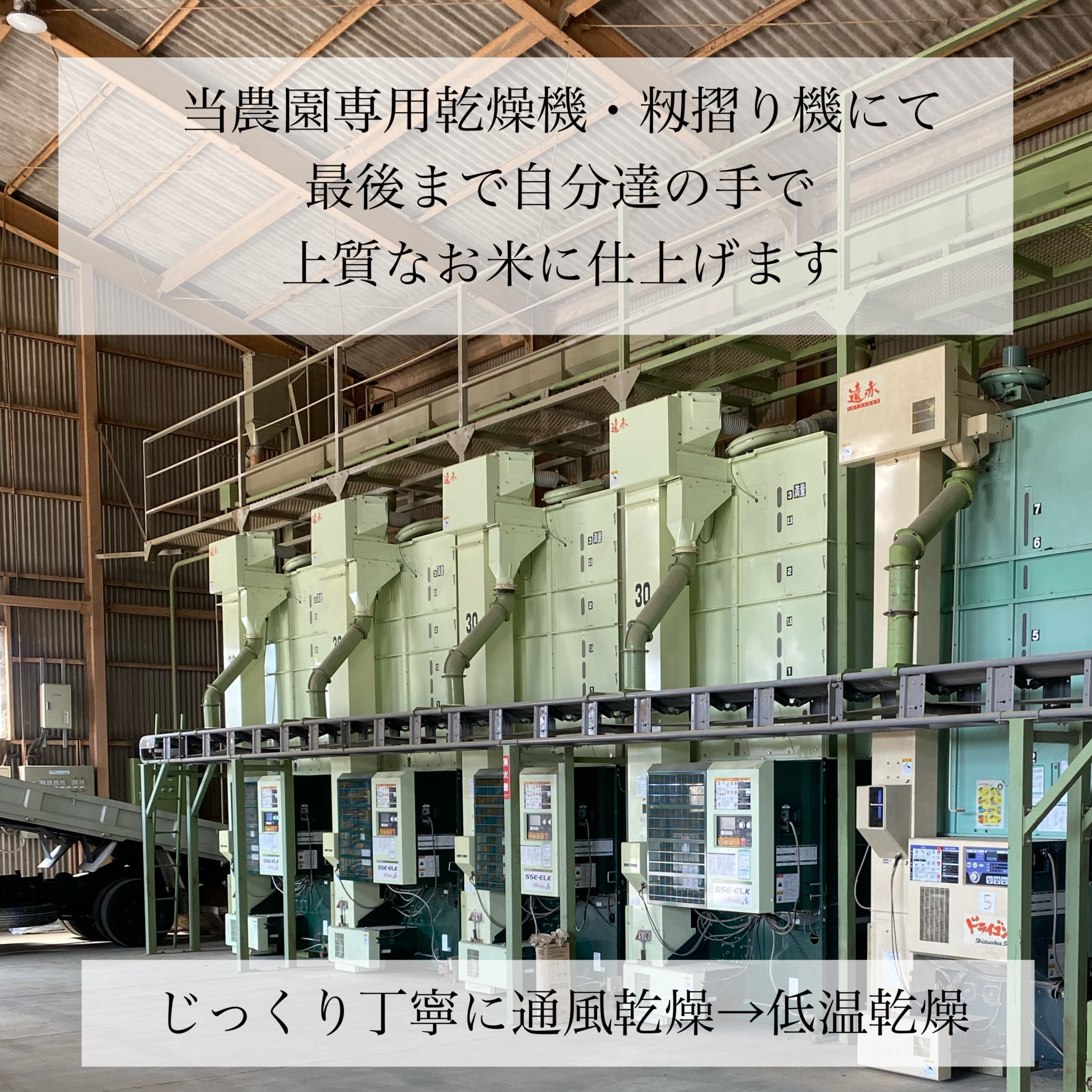 新米・令和3年産『特別栽培米・丹後産コシヒカリ』送料無料、精米サービスします。