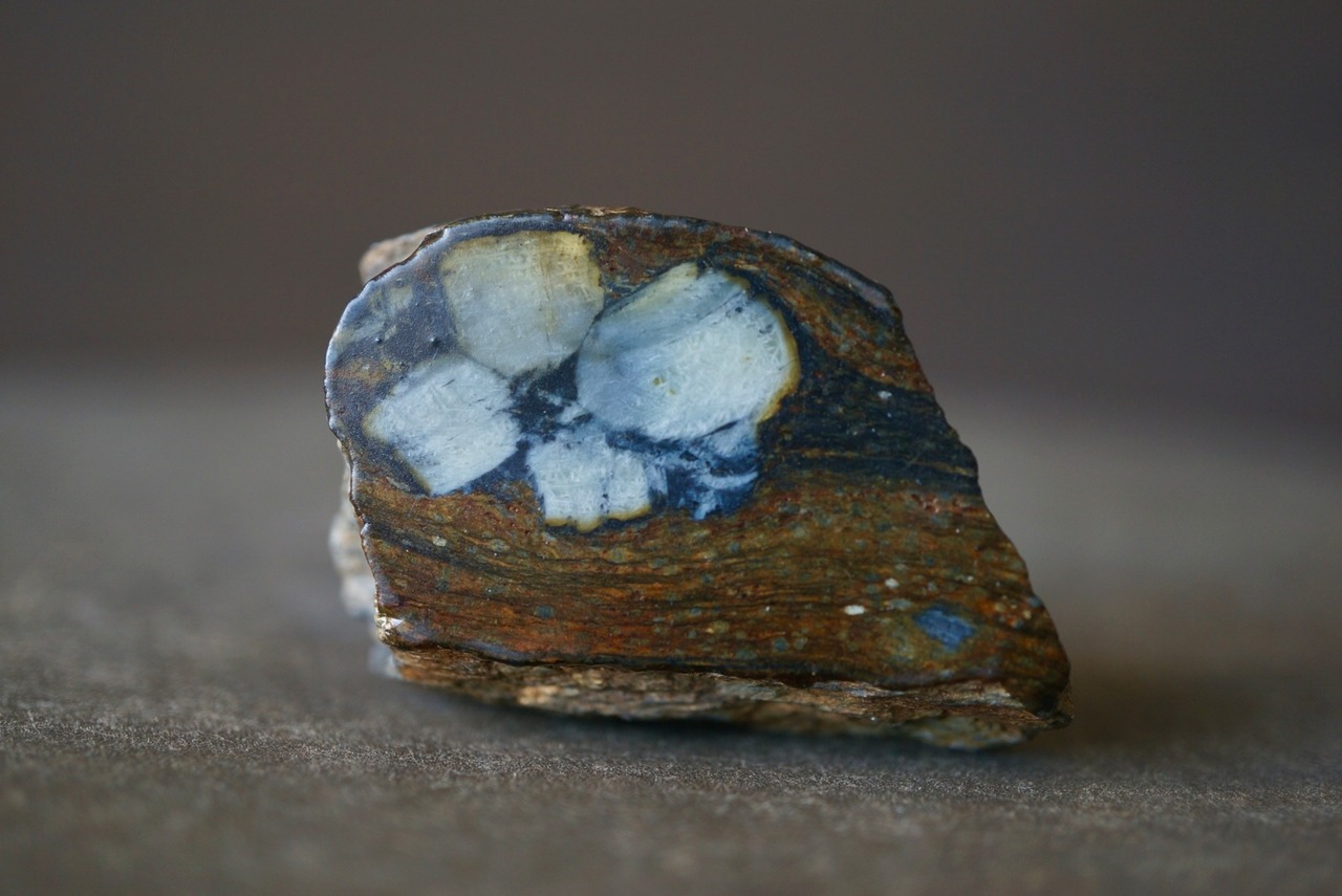 スペイン産キアストライト Chiastolite 1806