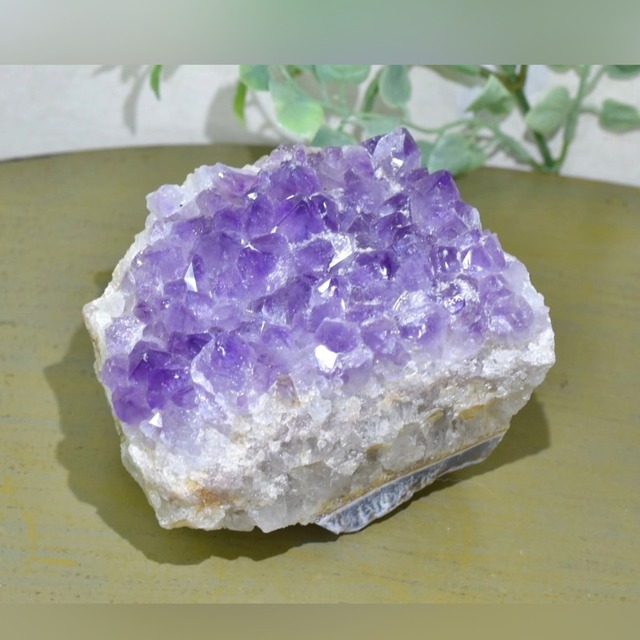 アメシスト クラスター ブラジル産 CR48