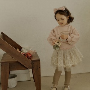 春ベルベットメッシュスカート2色