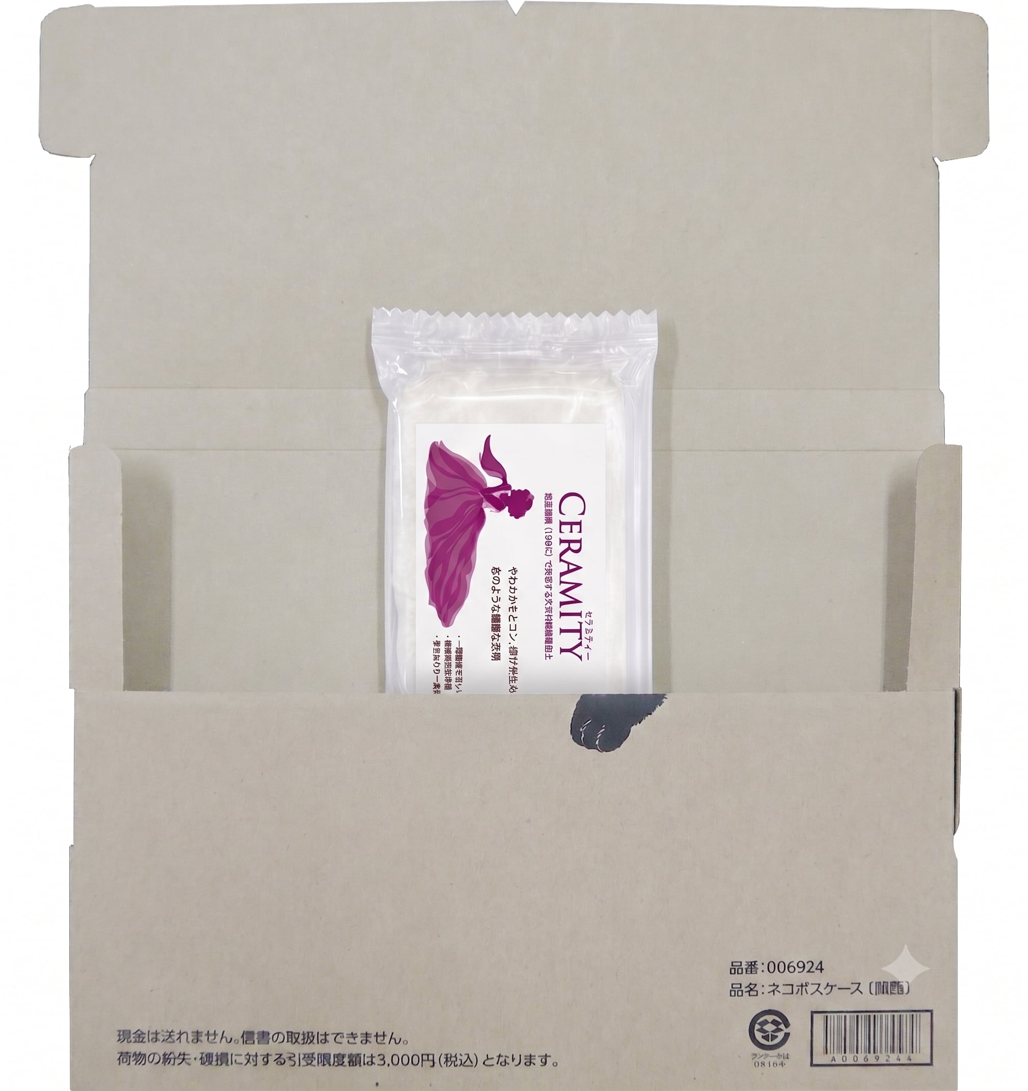 501923 送料無料:お試しセラミティ― (陶磁器粘土)1個パック