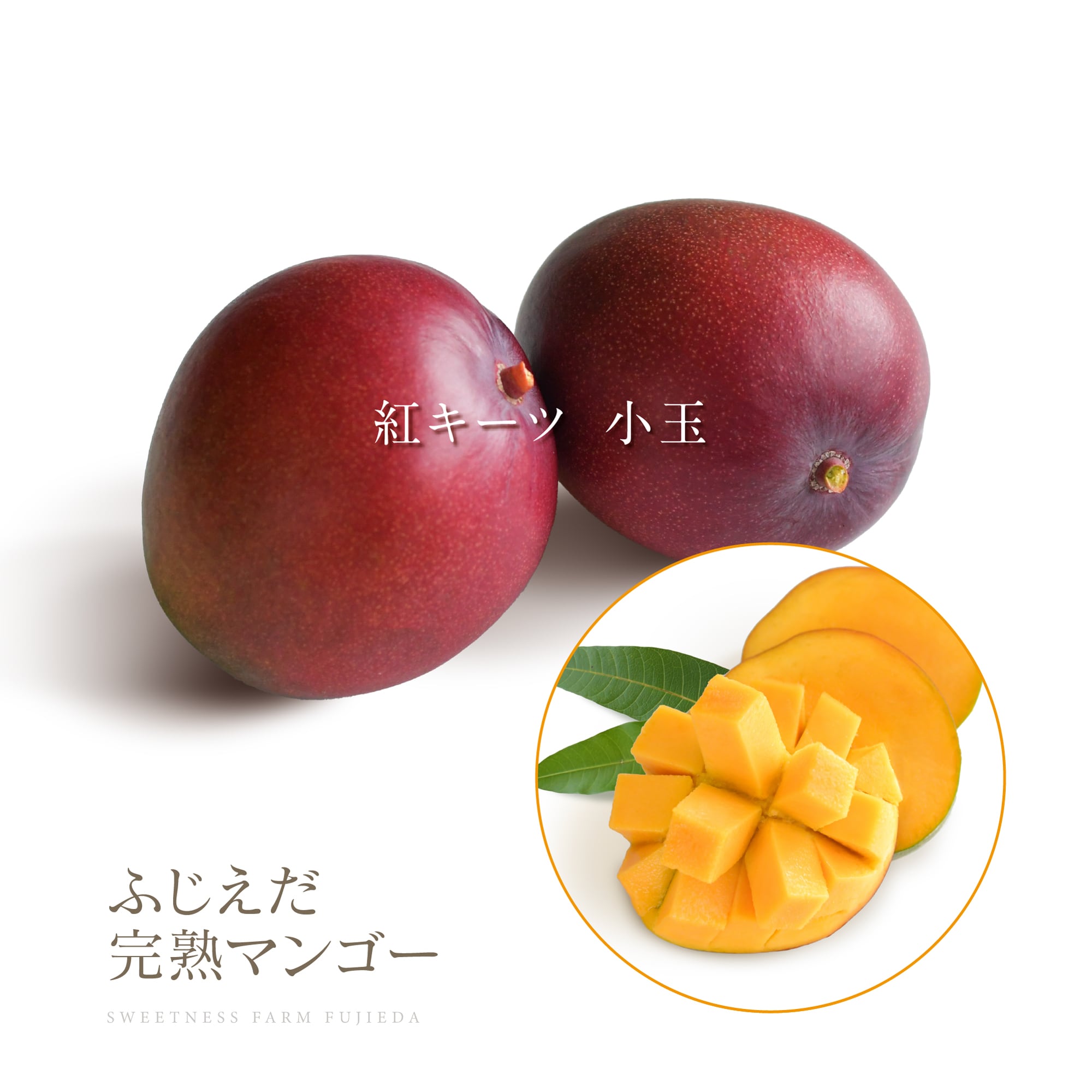 お得！ご自宅用【詰合せ】品種ミックスわくわく1kg | ふじえだ完熟