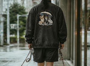 Chihuahua Rain Club Nylon Set-Up