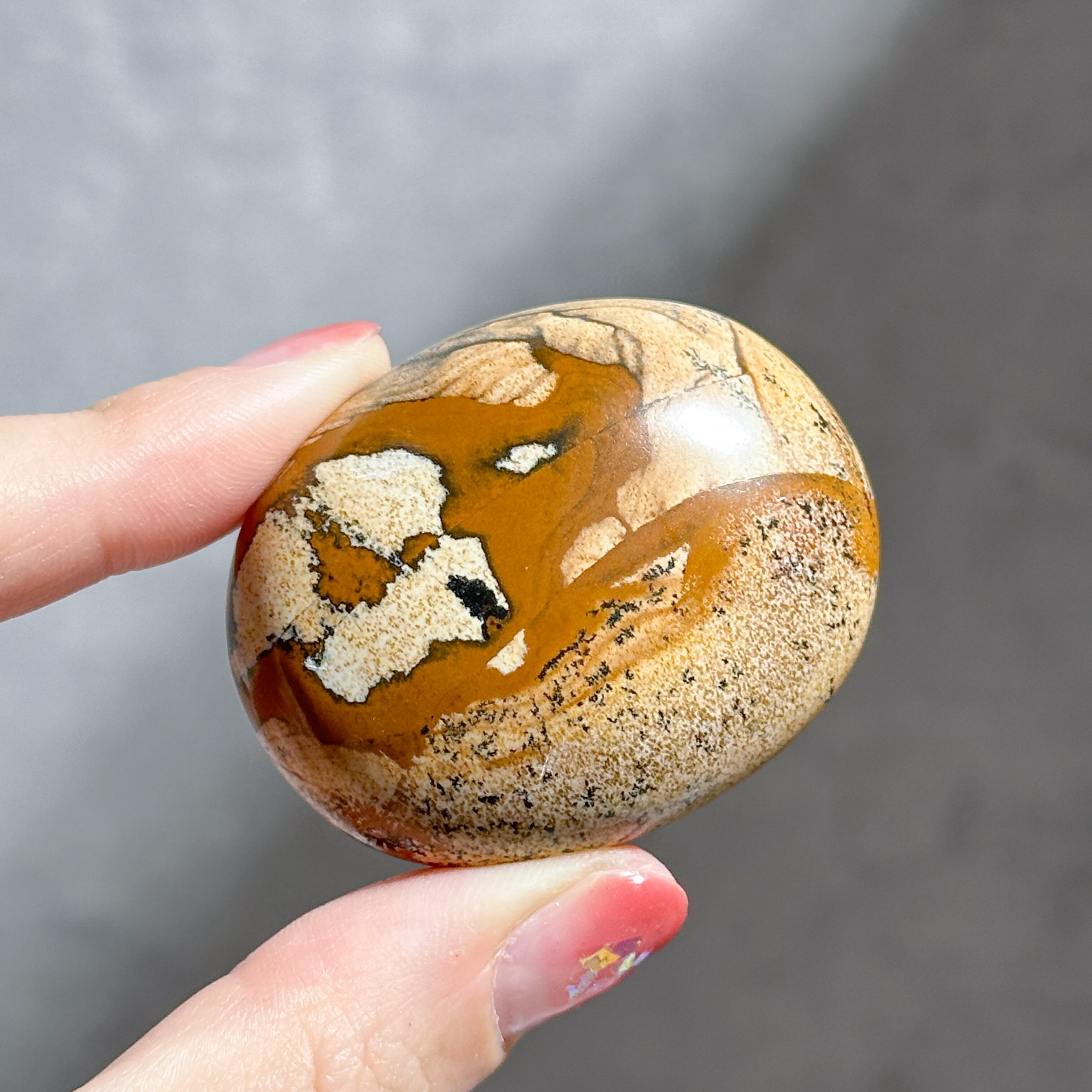 ピクチャージャスパー パームストーン21◇ Picture Jasper ◇ 天然石