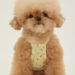 【予約】[ thesallyslaw ] Dewy Cooling Top｜Lemon Floral