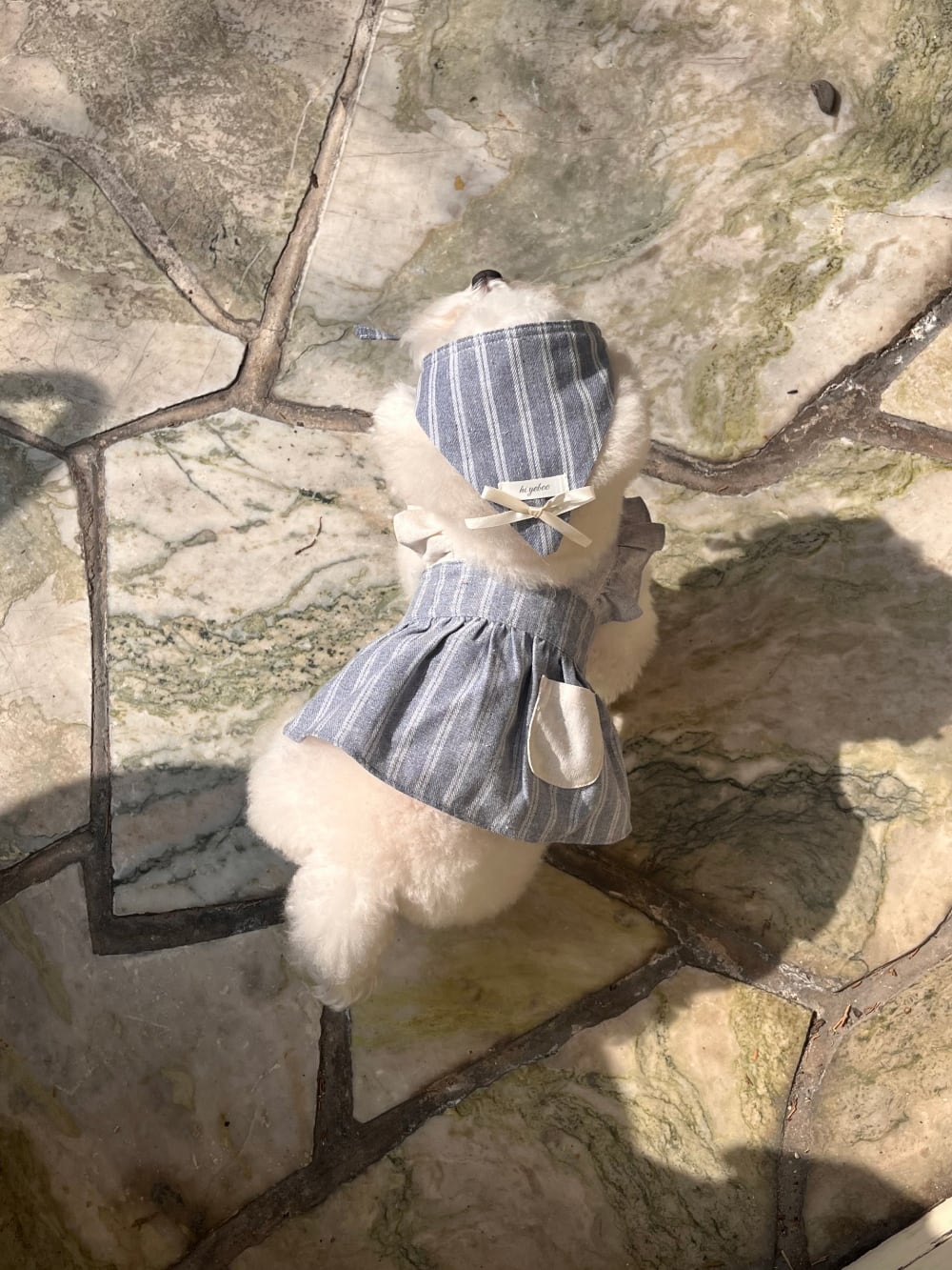 予約【Hi Yeboo】Alice Collection Ops (Blue Stripe)