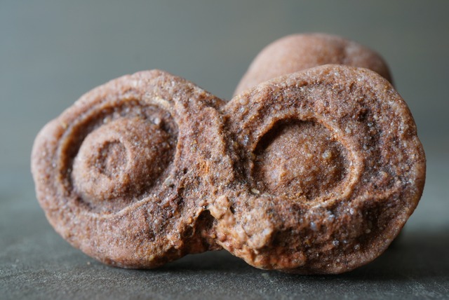 モロッコ産ストロマトライト　Stromatolite　1057