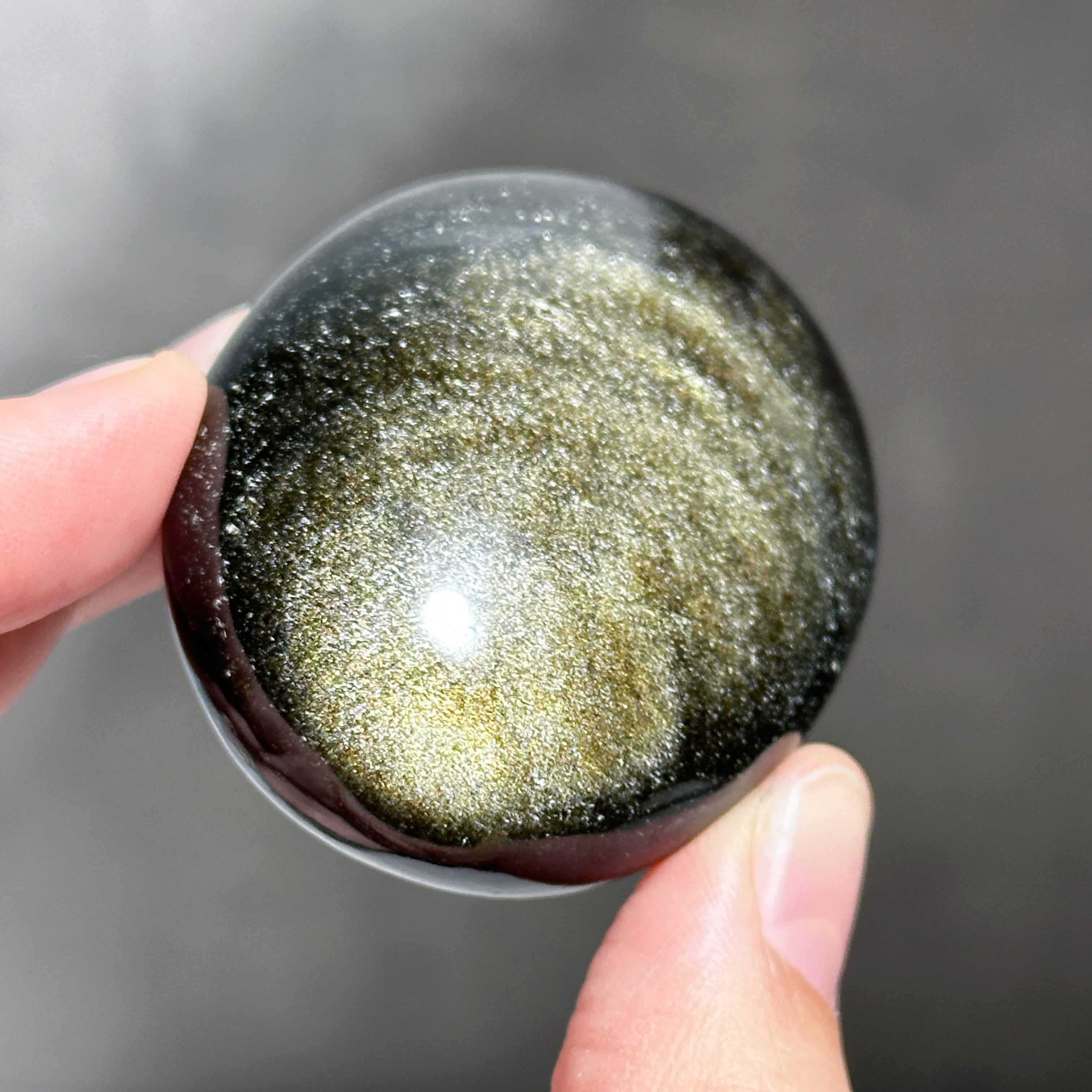 ゴールデンシーンオブシディアン パーム63◇Goldensheen obsidian