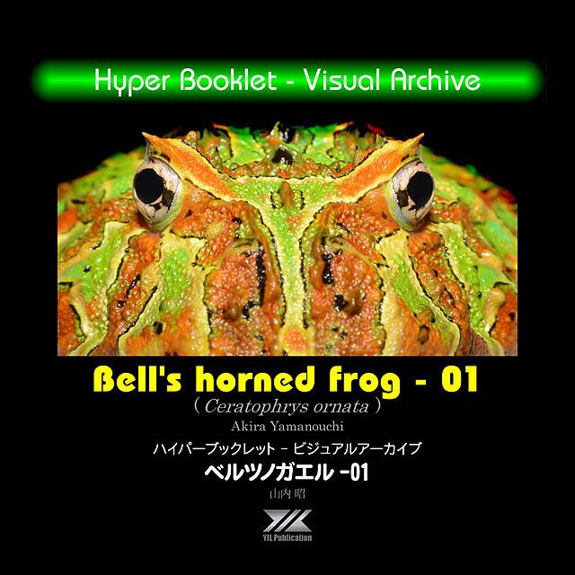 YIL Hyper Booklet - ビジュアルアーカイブ 「ベルツノガエル-01