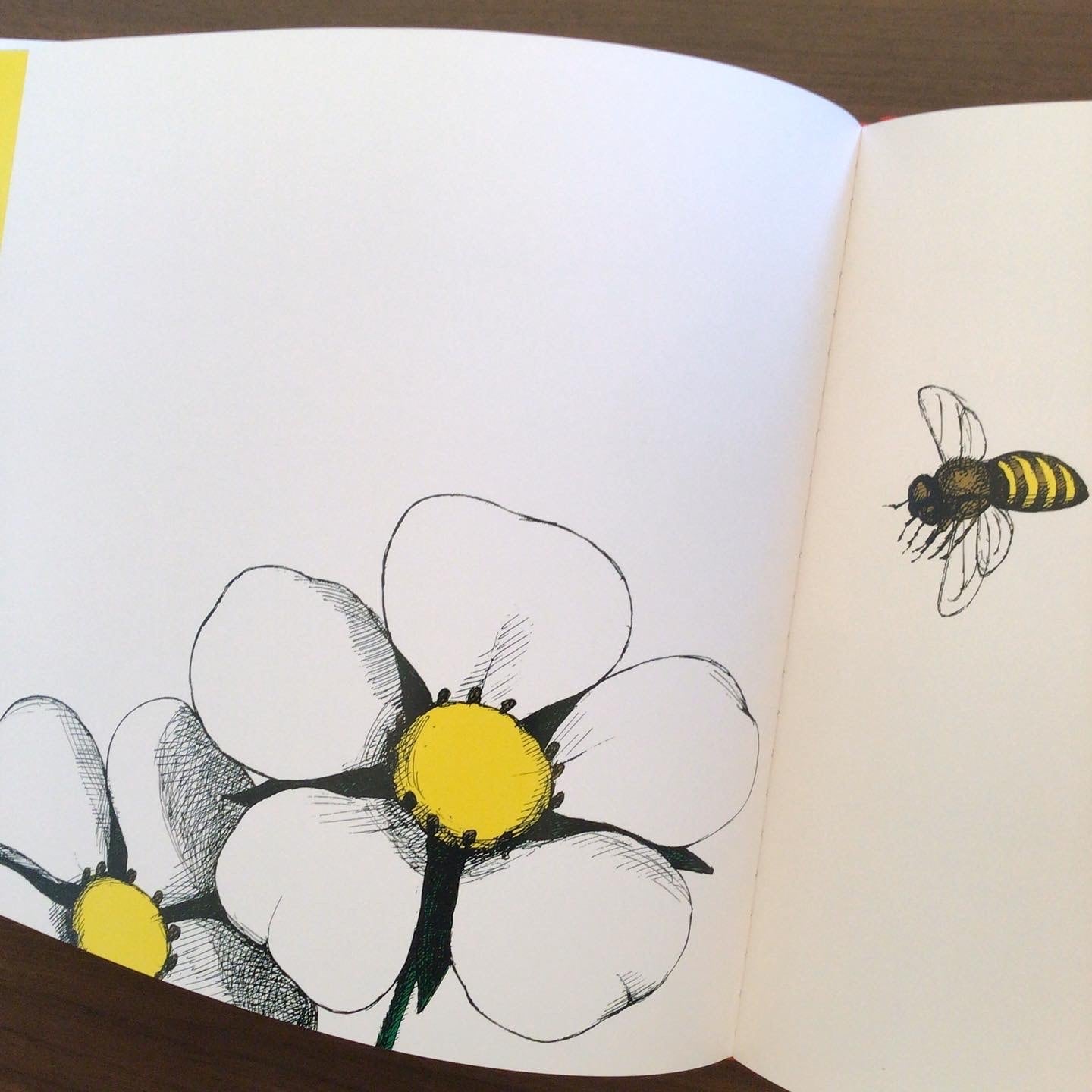 本物　肉筆画　直筆　ARIAさんの絵　イチゴ 本物 肉筆画 直筆 ARIAさんの絵 イチゴ 本物 肉筆画 直筆 ARIAさんの絵