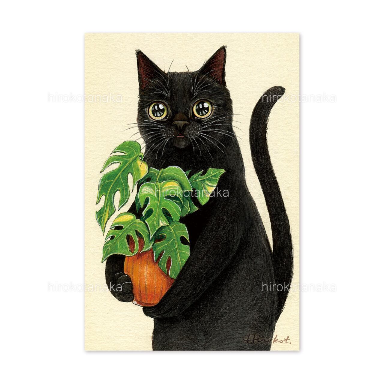 I❤︎黒猫!! ポストカードセット 9枚 / Black Cat Postcard Set of 9