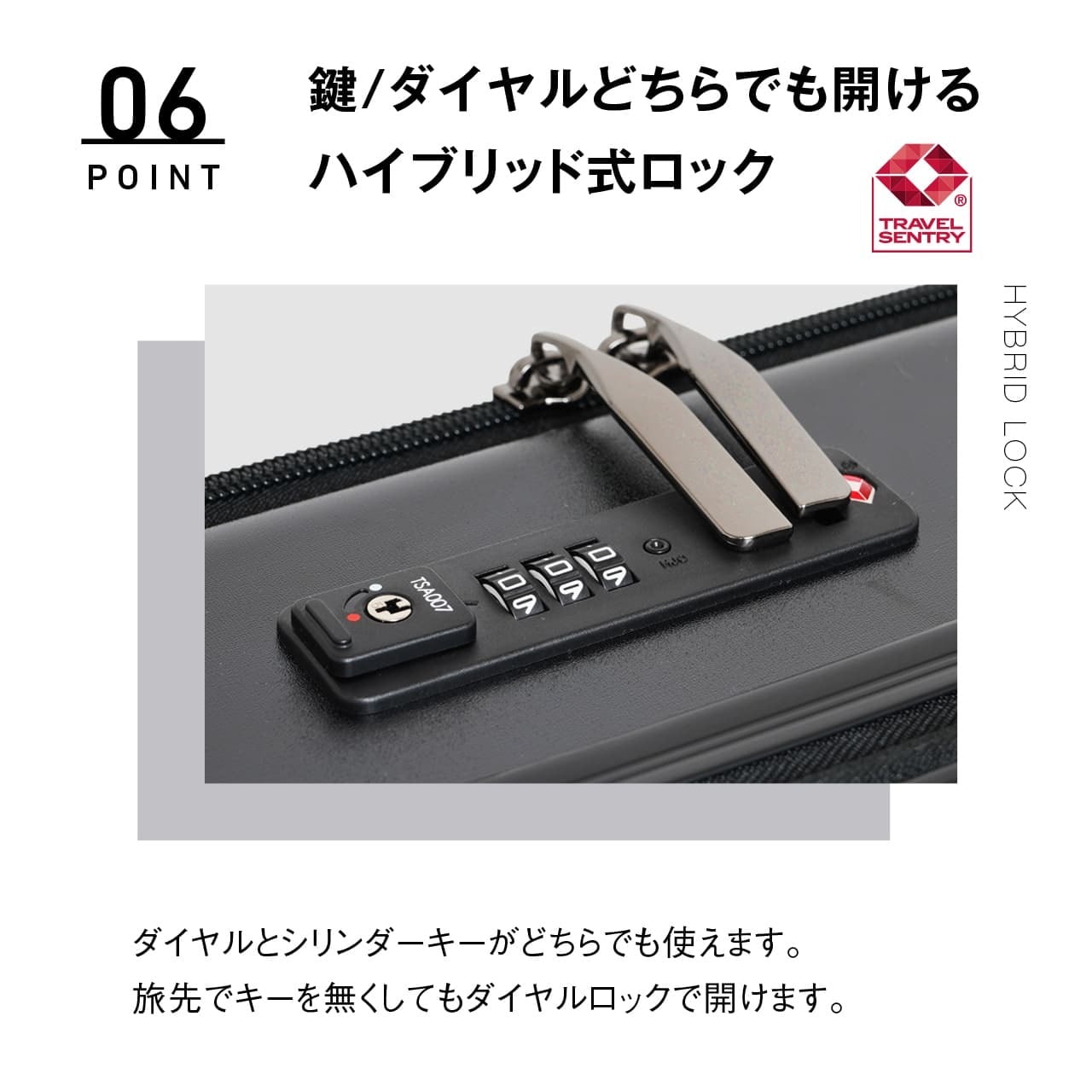 SKYNAVIGATOR スカイナビゲーター スーツケース Lサイズ キャリー