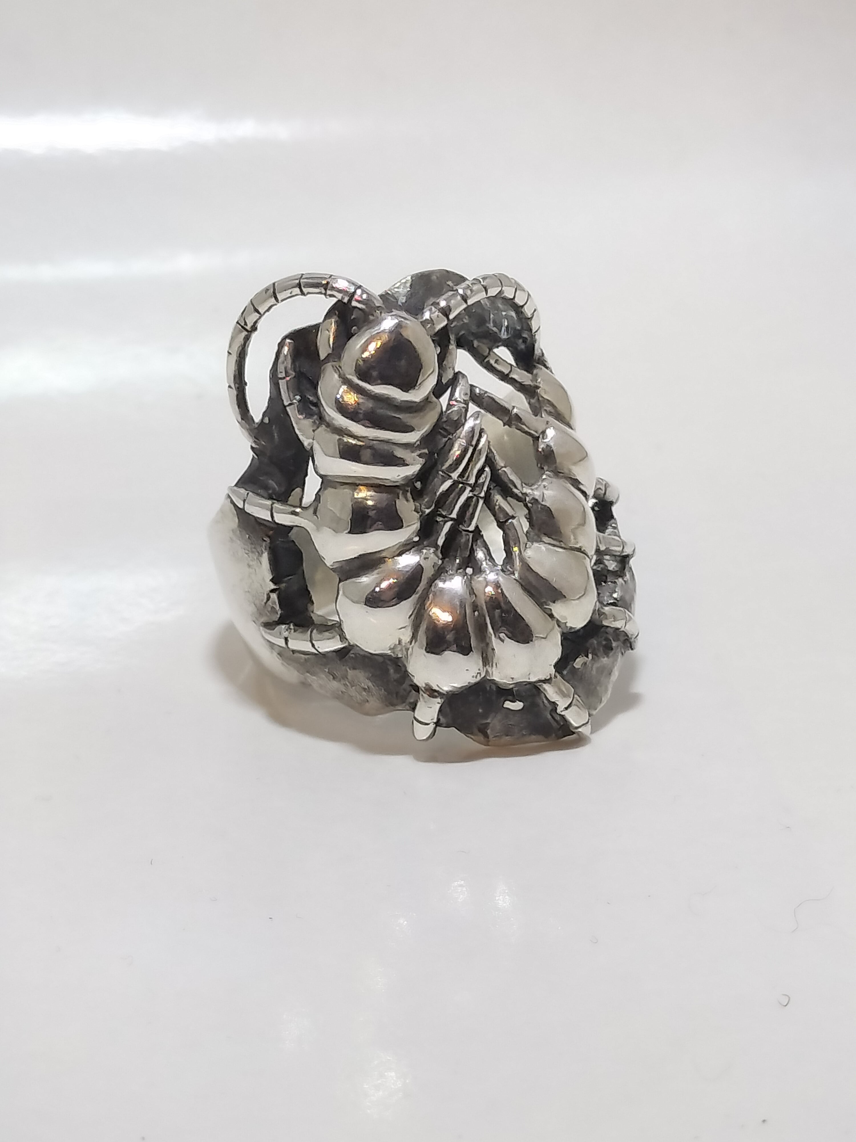 ◇リング | GRYPHON.jp