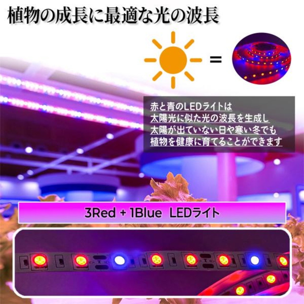 5M300LED 植物育成LEDライト 植物育成テープライト 植物育成ライト