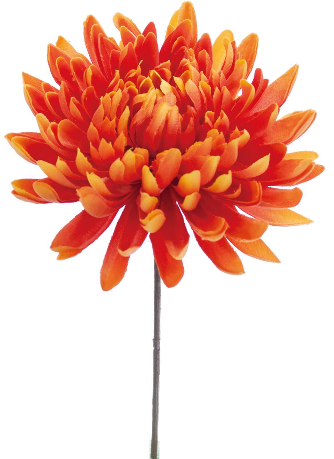 超目玉】 ヴェロヴァ 小さな花 絵画/タペストリ - ensamblaideas.com