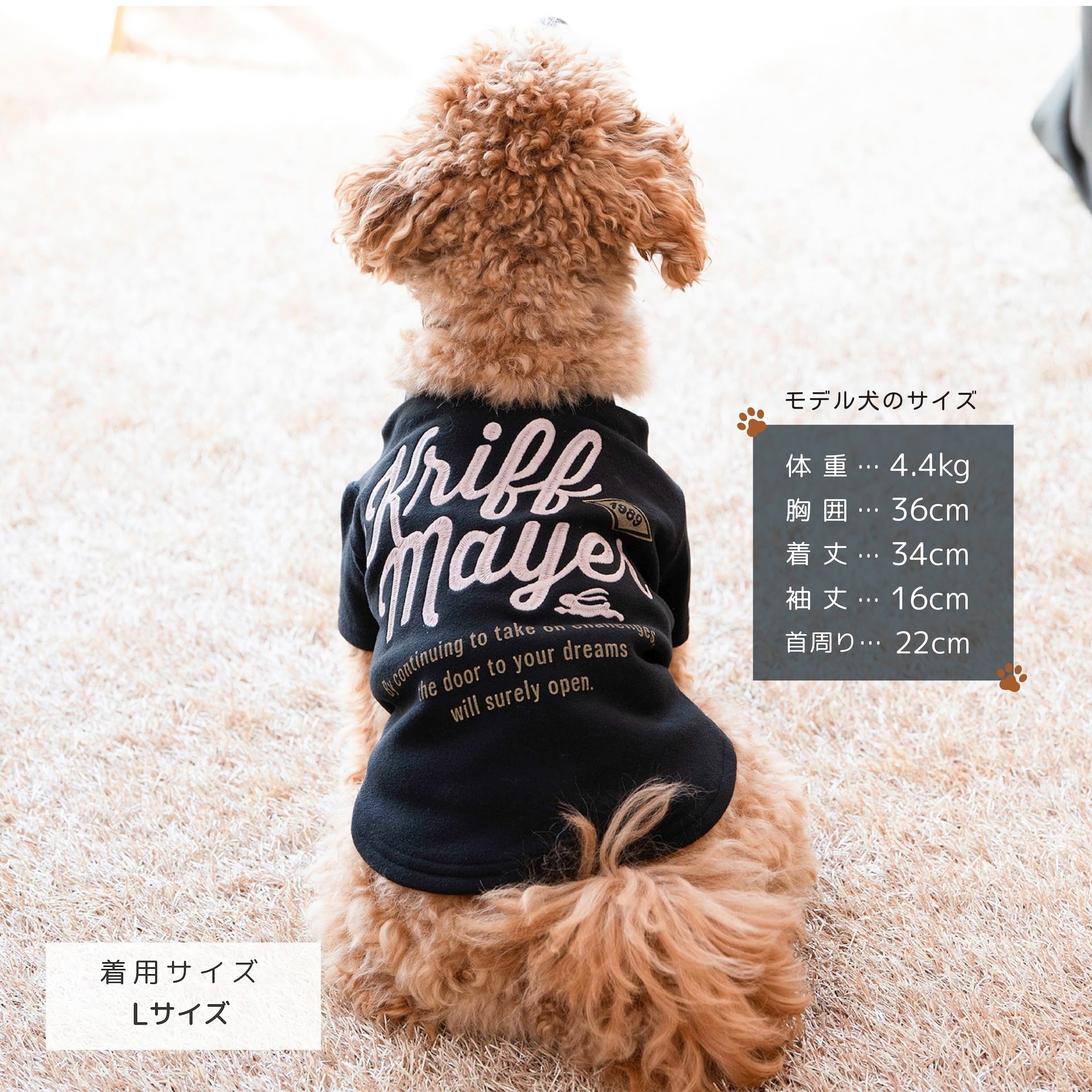 ドッグウェアCP対象】DOGもちのびT（BLACK） | 38explore