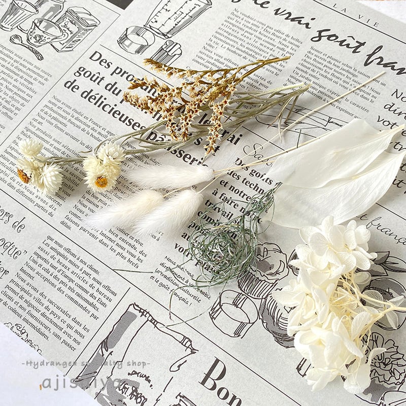 6種類の白い花材たち 【ドライ＆プリザーブドフラワー】 | はじめての  