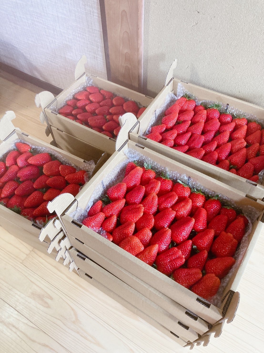 訳ありいちご 約1kg | alicefarm15