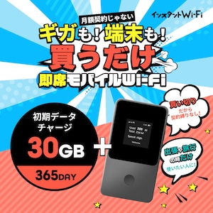 [インスタントWi-Fi] モバイルWi-Fiセット 30GB(有効期間365日間)