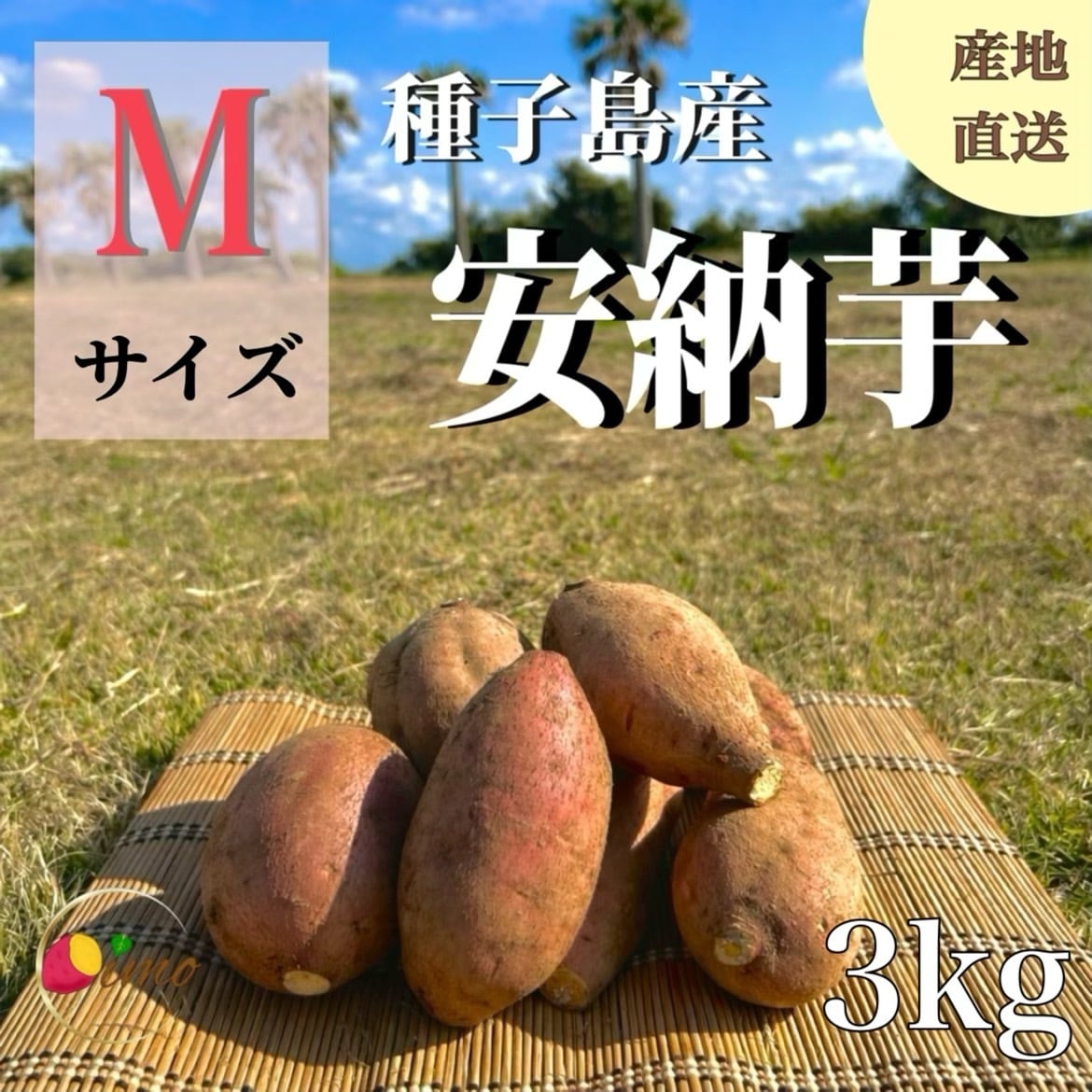 安納芋 Mサイズ 5kg｜箱別 | aimo農園