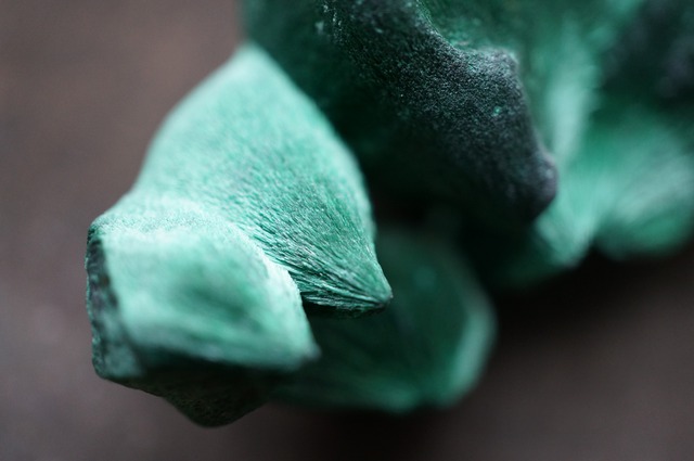 コンゴ産ヴェルヴェットマラカイト Malachite 2113