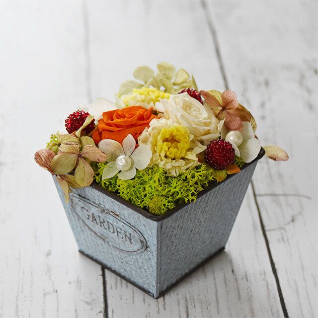 プリザーブドフラワー ギフトのオンラインショップ Tanen プリザーブドフラワー ブリキ ナチュラル ブルー オレンジ ダリア ギフト Tanen