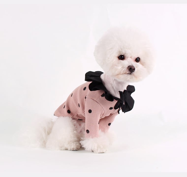 ドットフリルニット S ~ XL 2color / 犬服 ドッグウェア 小型犬 中型犬 犬の服 わんちゃん ペット