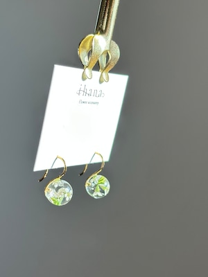 creeping baby's breath hook pierce 【数量限定】