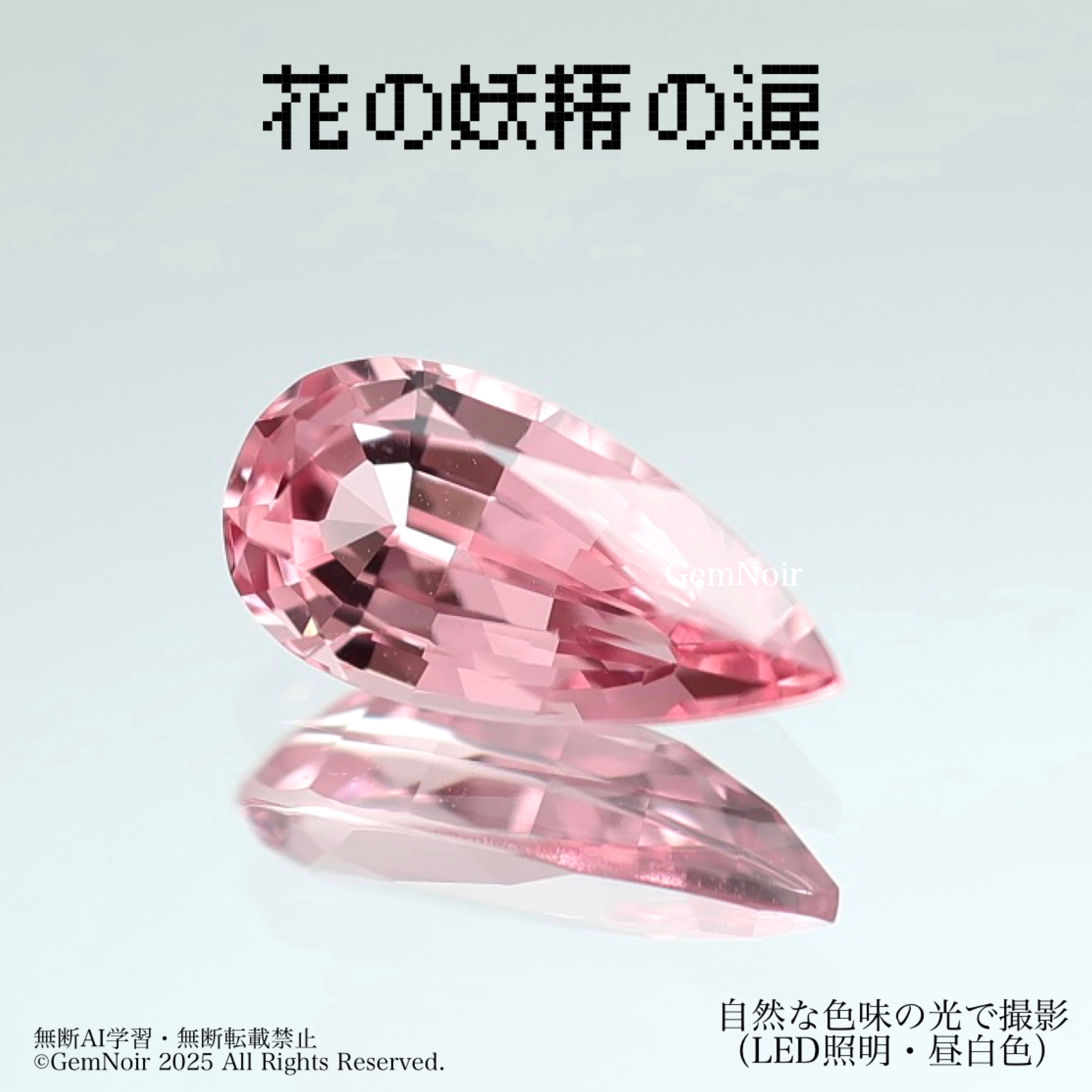蝶の標本 ジャングルを舞う宝石(大珍) 蝶の標本 熱帯ジャングルを舞う宝石(1) カード検索 | Z/X