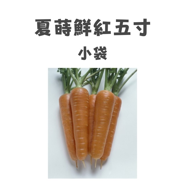 夏蒔鮮紅五寸　ニンジン種子・RF小袋