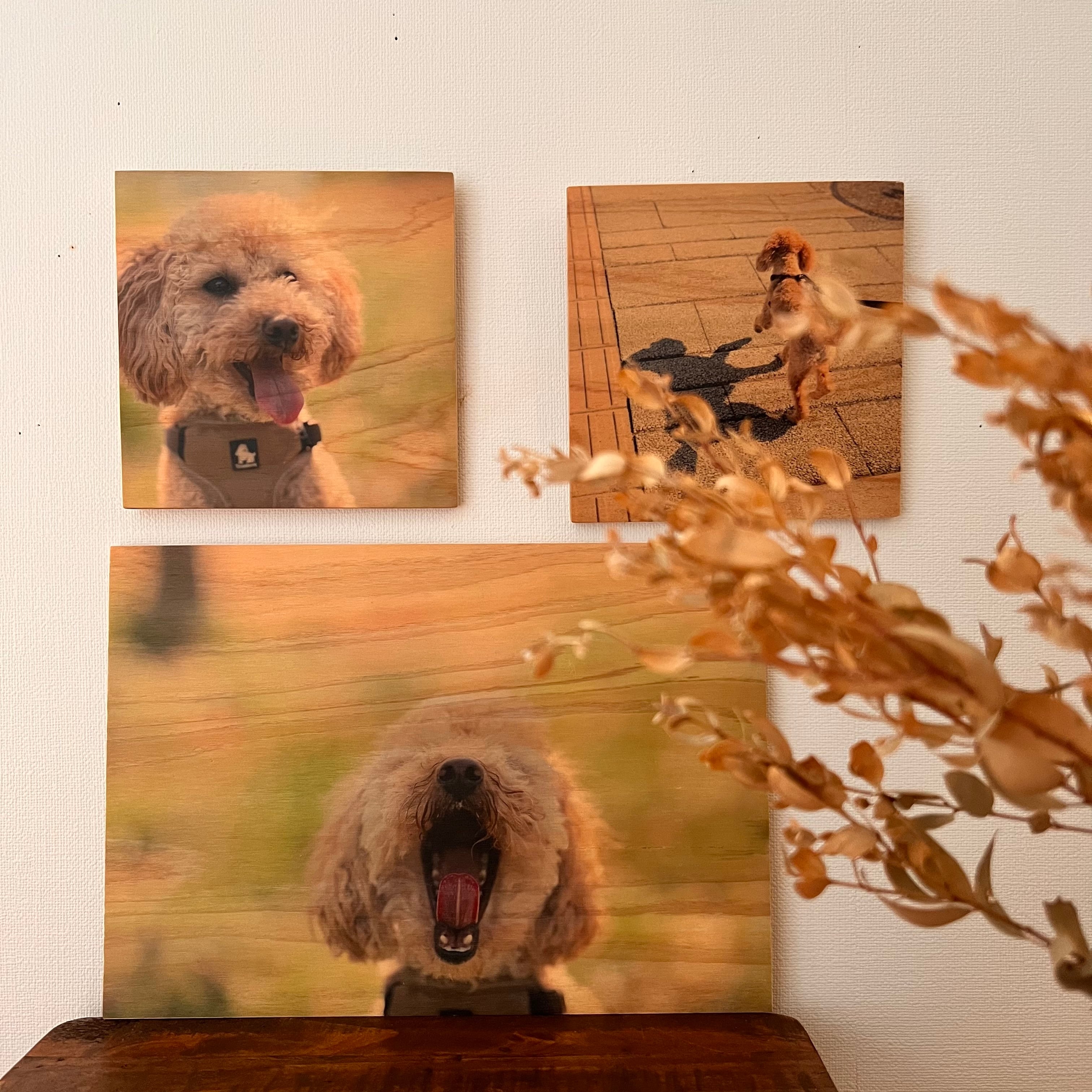 オーダーメイド】A4 Size お好きなお写真でWOODPHOTO | Oiso Ryoman's