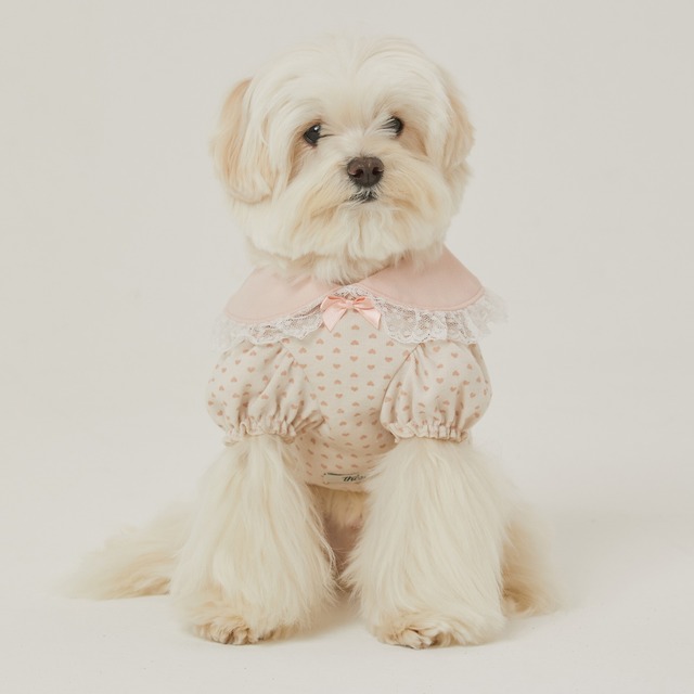 【予約】[thesallyslaw] French collar puff blouse (Vintage heart)