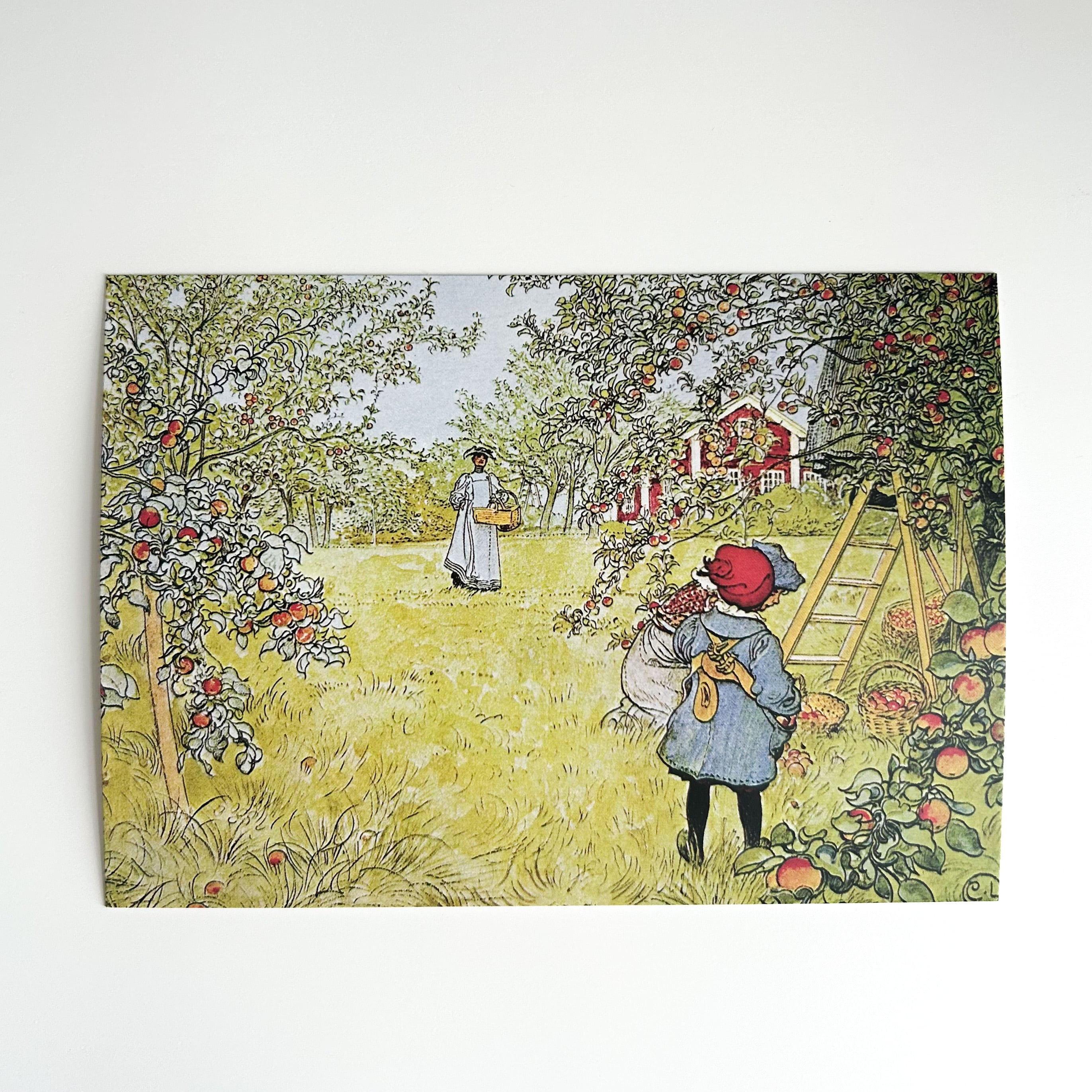 WEB限定】カール・ラーション ポストカード 30枚セット | hmm, by 東京